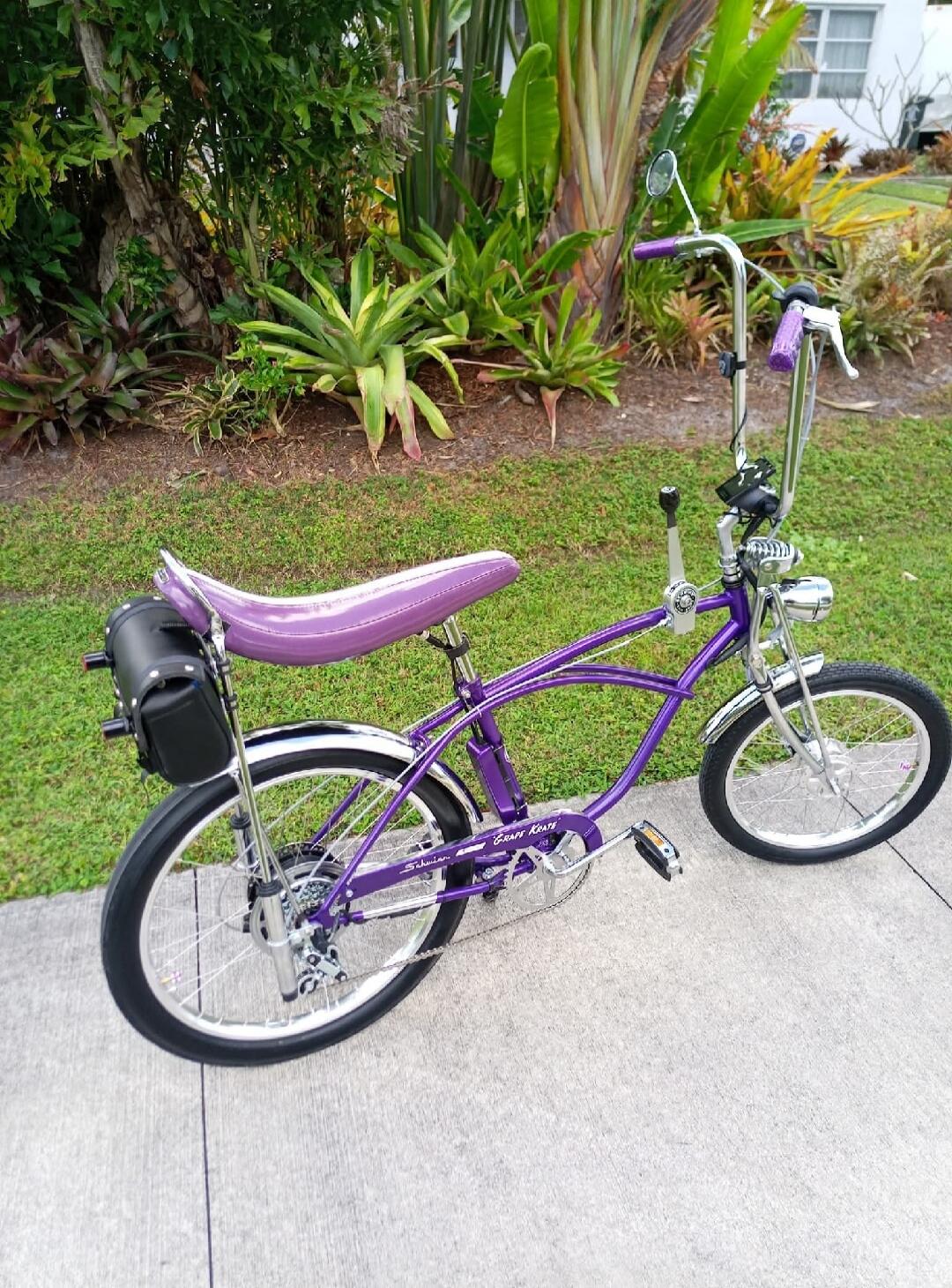 Schwinn Grape Krate