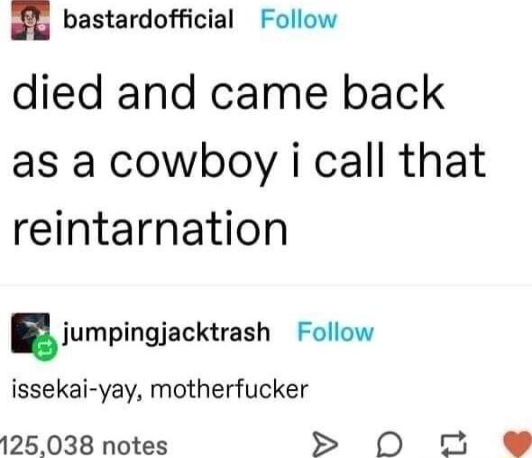 z bastardofficial Follow died and came back as a cowboy i call that reintarnation njumpingjacktrash Follow issekai yay motherfucker 125038 notes O 2 e