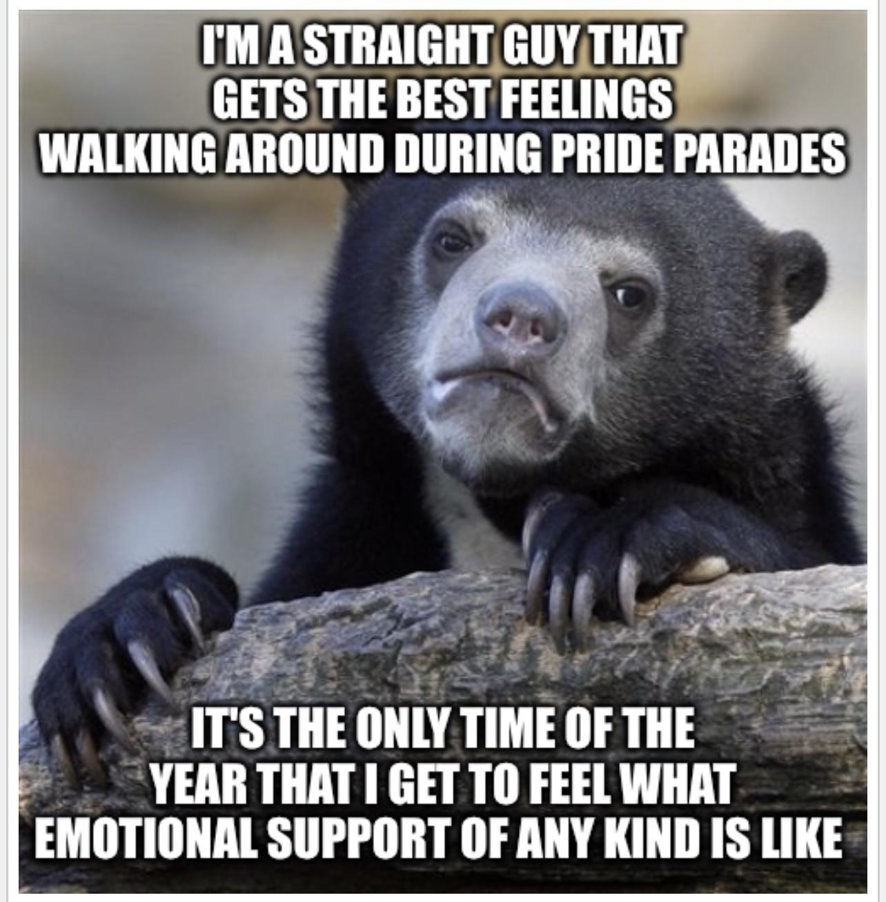 o2 IIS IIIE IIIlY TIME OF IIIE _YEARTHAT I GET TO FEEL WIIM EMOTIONAL SUPPORT OF ANY KIND IS LIKE