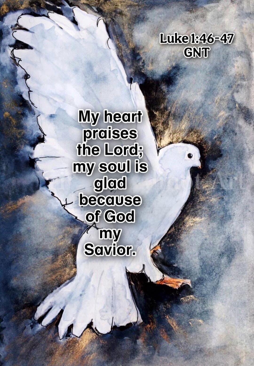 My heart praises the Lord; my soul is glad because of God my Savior.
Luke 1:46-47
GNT