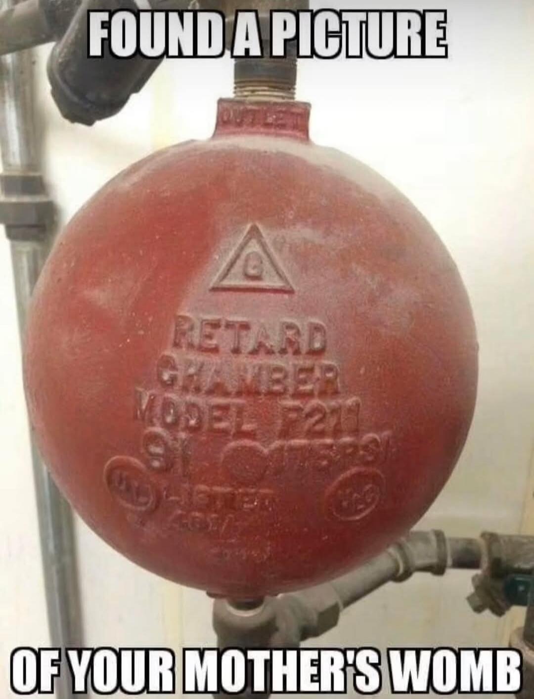 FOUND A PICTURE RETARD CHAMBER MODEL F211 OF YOUR MOTHER'S WOMB