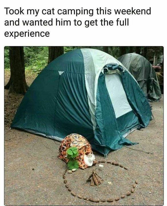 Took my cat camping this weekend and wanted him to get the full experience