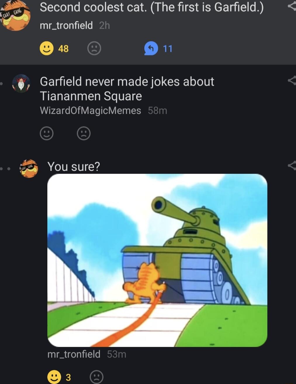 Second coolest cat The first is Garfield mr_tronfield R Garfield never made jokes about LIEUERIN I TE WizardofMagicMemes You sure mr_tronfield