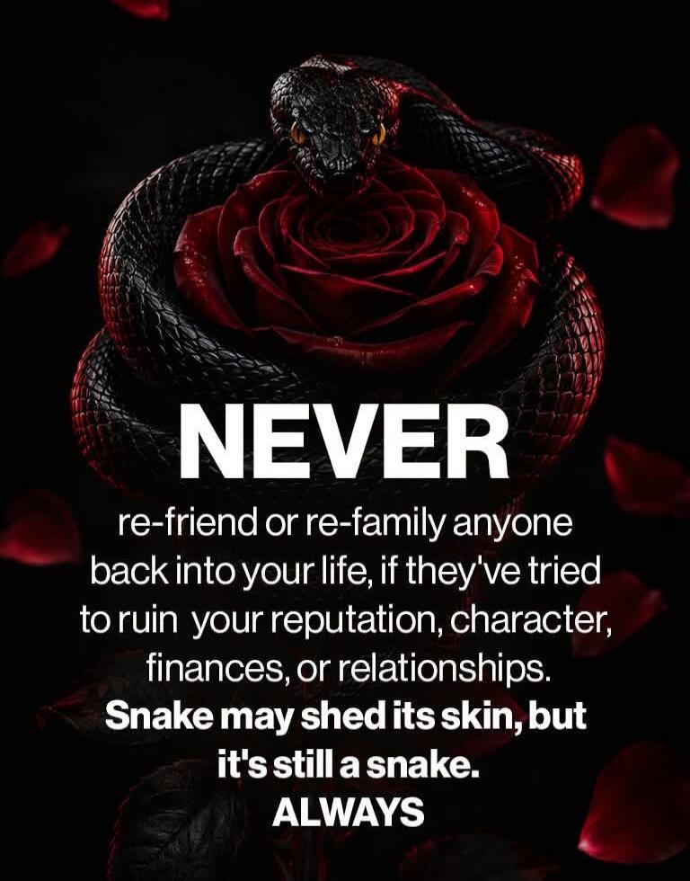 NEVER re-friend or re-family anyone back into your life, if they've tried to ruin your reputation, character, finances, or relationships. Snake may shed its skin, but it's still a snake. ALWAYS