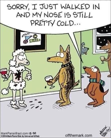 SORRY T JUST WALKED IN AND MY NOSE 1S STiLL PRETTY CoLD Paysiaolcom 230 UL e i e offthemarkcom
