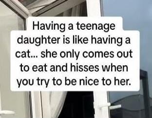 Having a teenage daughter is like having a cat... she only comes out to eat and hisses when you try to be nice to her.