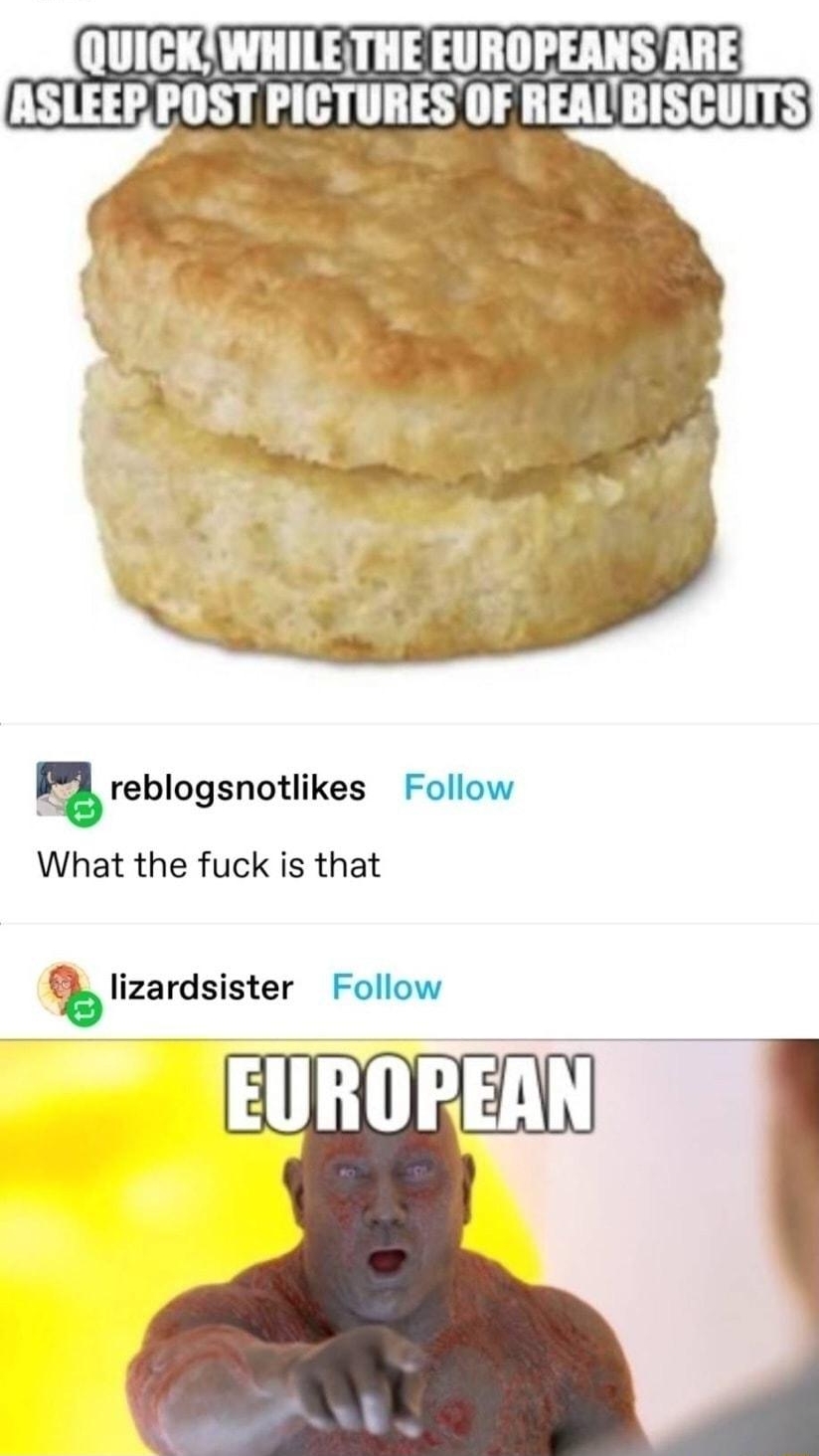 QUICK WHILETHE EUROPEANS ARE ASLEEP IIIST PICTURES OF IIEAl BISCUITS g reblogsnotlikes Follow What the fuck is that b lizardsister Follow