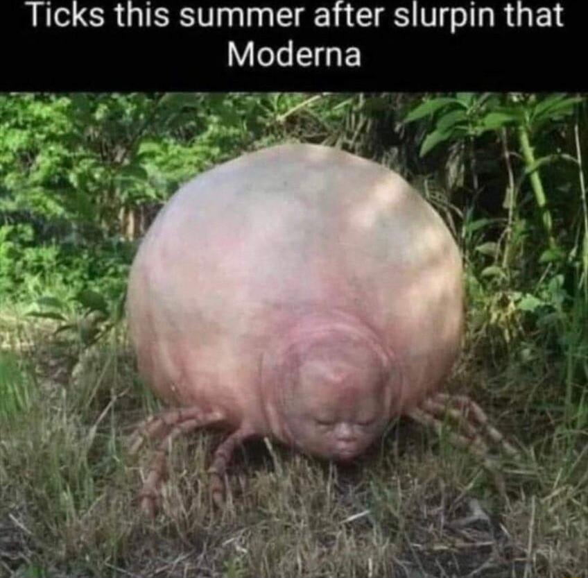 Ticks this summer after slurpin that Moderna