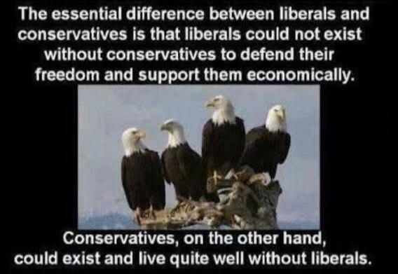 The essential difference between liberals and conservatives is that liberals could not exist without conservatives to defend their freedom and support them economically.
Conservatives, on the other hand, could exist and live quite well without liberals.