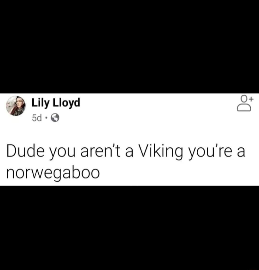 g Lily Lloyd Dude you arent a Viking youre a norwegaboo