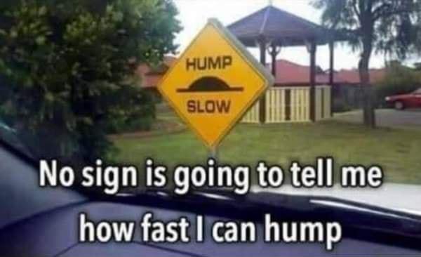 Nosn nis om totellme lhow fastllican hump