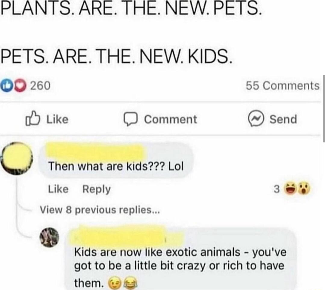 PLANTS ARE THENEWPETS PETS ARE THE NEWKIDS OO0 260 55 Comments o Like D comment send l are 377 Lol Like Reply EE View 8 previous replies Ki s now e exotic animals youve got to be a little bit crazy or rich to have them