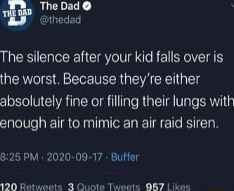 The Dad GIGERED The silence after your kid falls over is the worst Because theyre either absolutely fine or filling their lungs with enough air to mimic an air raid siren 826 PM 2020 09 17 Buffer 120 Retweets 3 Quote Tweets 887 ikes
