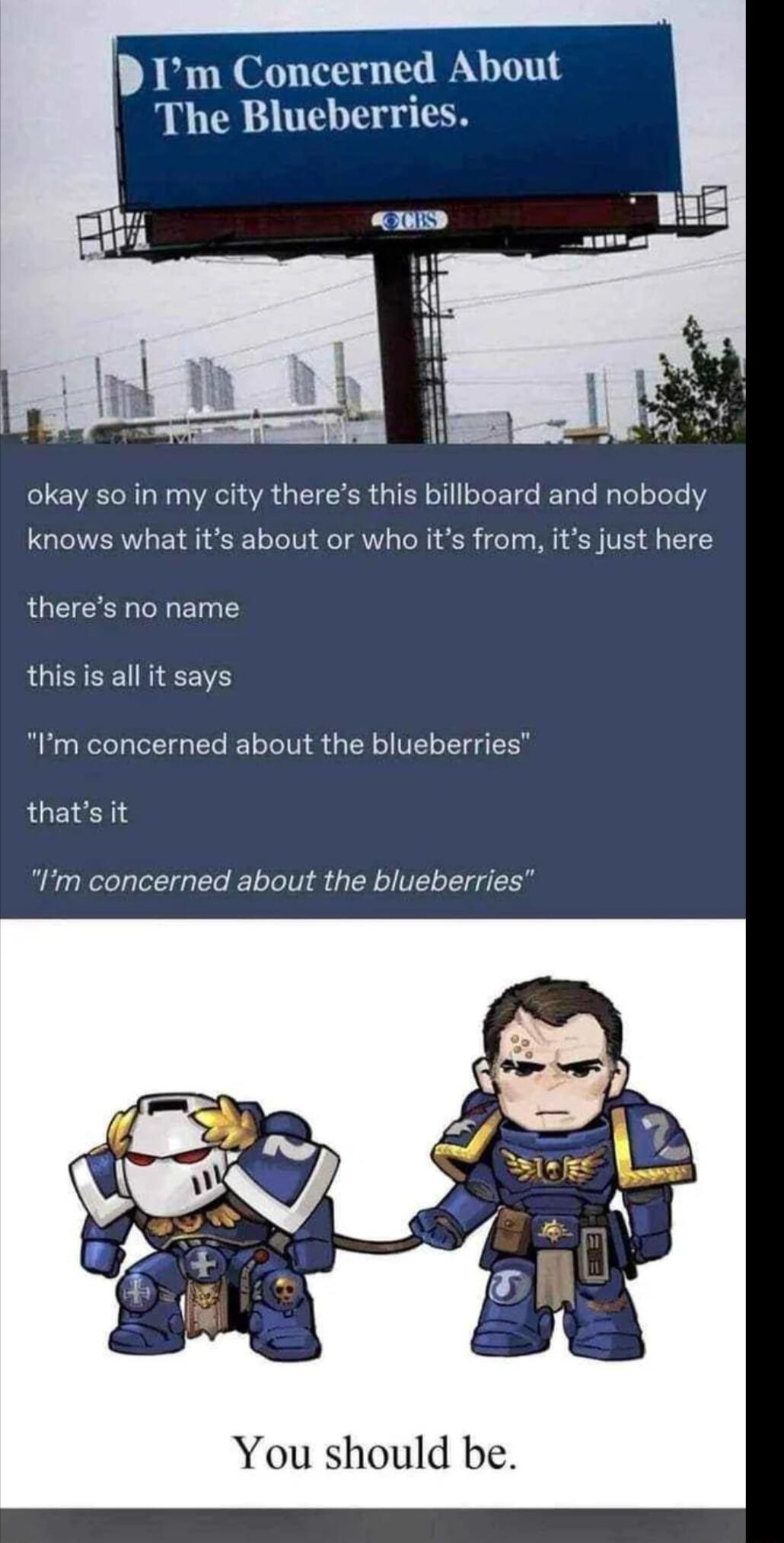 D Im Concerned About The Blueberries okay so in my city theres this billboard and nobody knows what its about or who its from its just here theres no name this is all it says Im concerned about the blueberries thats it Im concerned about the blueberries You should be