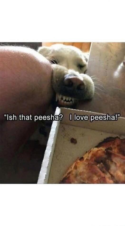 IsH that peesha? I love peesha!
