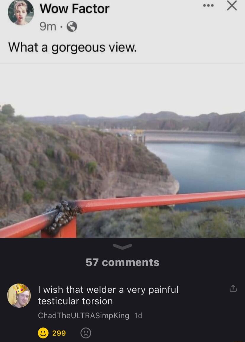 b Wow Factor 9m Q What a gorgeous view 57 comments wish that welder a very painful testicular torsion 200