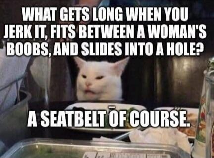 WHAT GETS LONG WHEN YOU JERK IT, FITS BETWEEN A A WOMAN'S BOOBS, AND SLIDES INTO A HOLE? A SEATBELT OF COURSE.