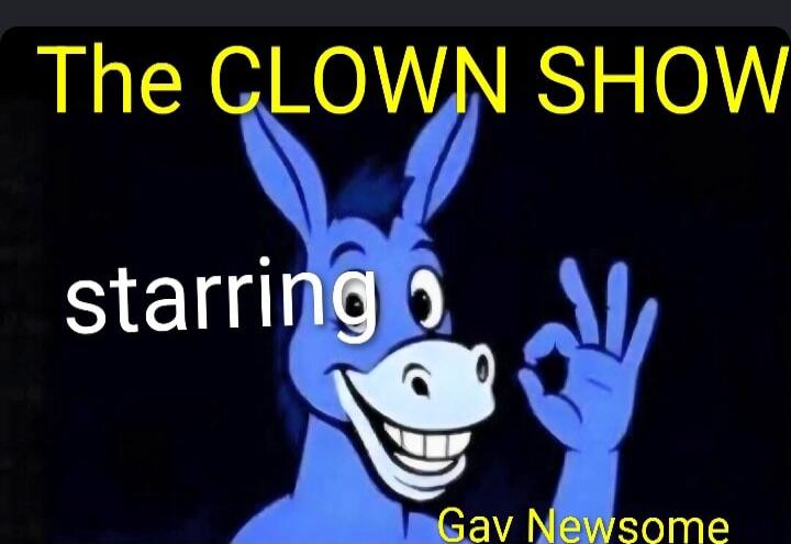 The CLOWN SHOW starring Gav Newsome