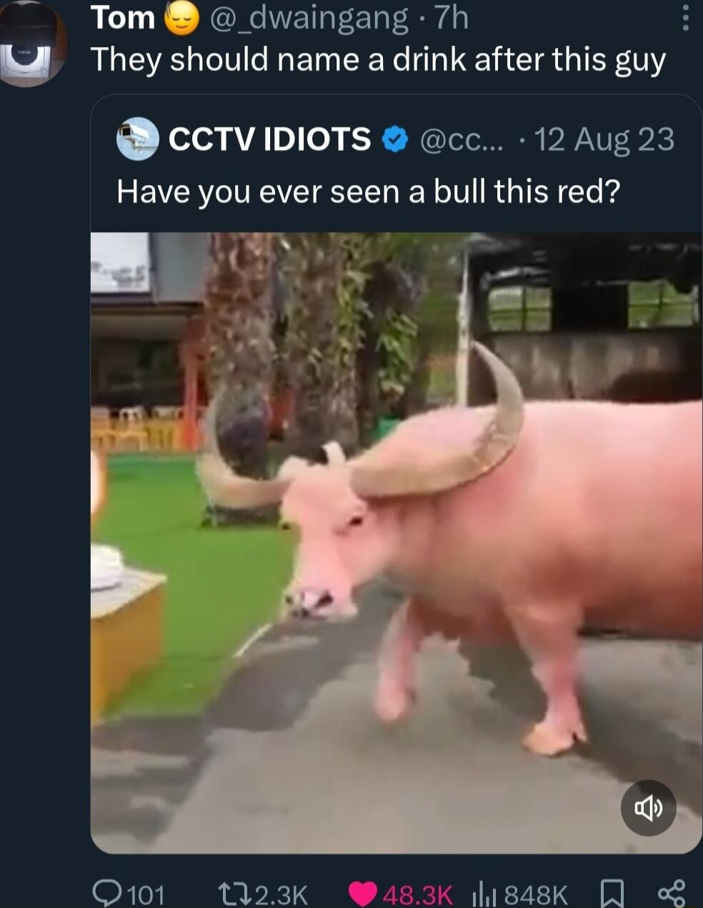 Tom _dwaingang 7h U They should name a drink after this guy Xeleg ATTe R RCIS R PV NTED K Have you ever seen a bull this red