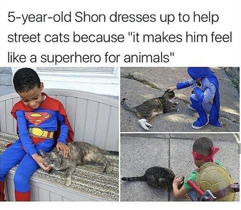 5 year old Shon dresses up to help street cats because it makes him feel like a superhero for animals