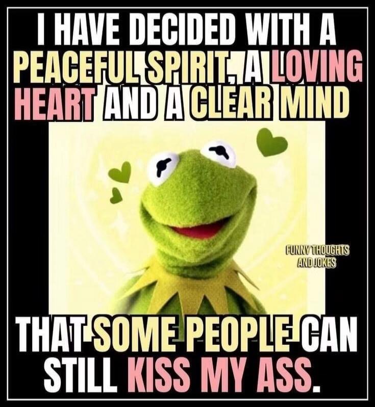 I HAVE DECIDED WITH A PEACEFUL SPIRIT, A LOVING HEART AND A CLEAR MIND THAT SOME PEOPLE CAN STILL KISS MY ASS. FUNNY THOUGHTS AND JOKES