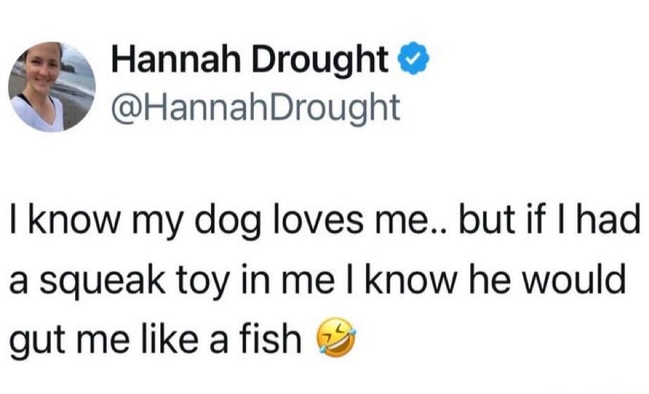 Hannah Drought @HannahDrought I know my dog loves me.. but if I had a squeak toy in me I know he would gut me like a fish 😂