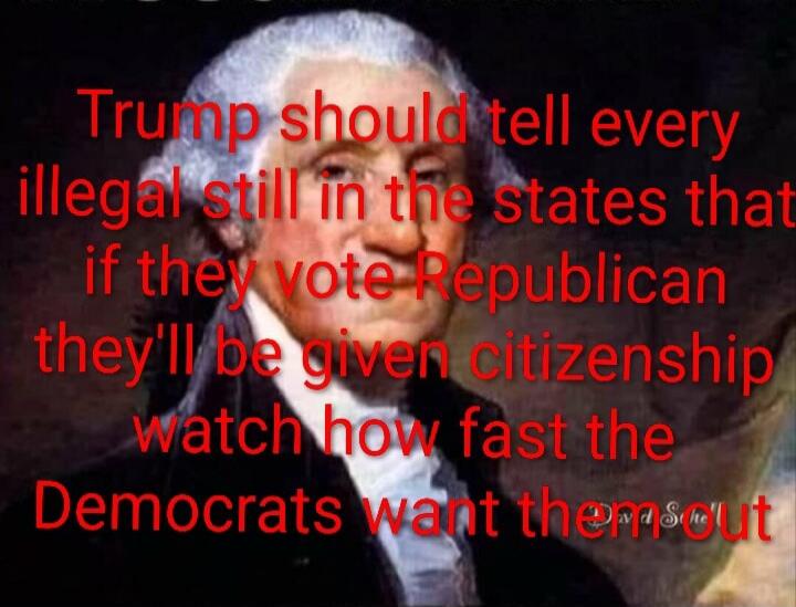 Trump should tell every illegal still in the states that if they vote Republican they’ll be given citizenship watch how fast the Democrats want them out