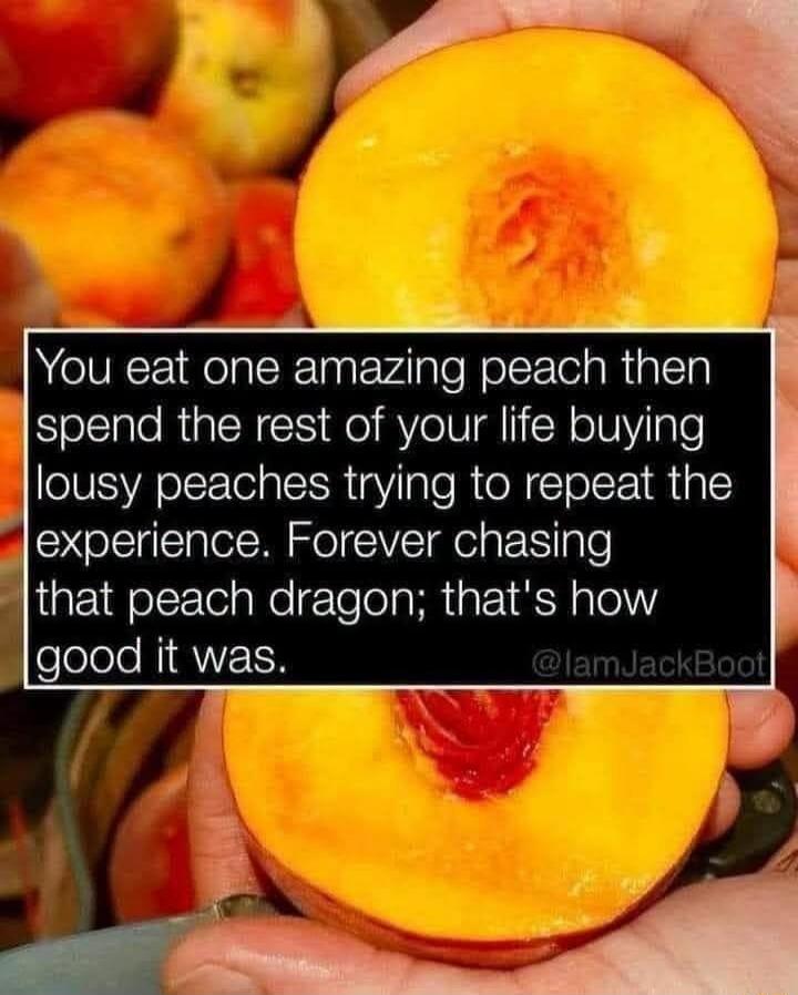 You eat one amazing peach then spend the rest of your life buying lousy peaches trying to repeat the experience. Forever chasing that peach dragon; that's how good it was. @IamJackBoot