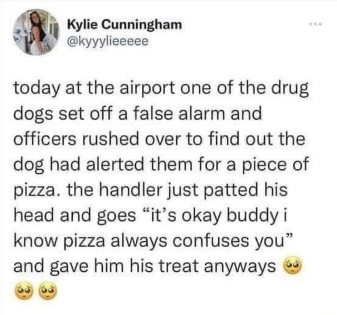 8 Kylie Cunningham kyyylieeeee today at the airport one of the drug dogs set off a false alarm and officers rushed over to find out the dog had alerted them for a piece of pizza the handler just patted his head and goes its okay buddy i know pizza always confuses you and gave him his treat anyways