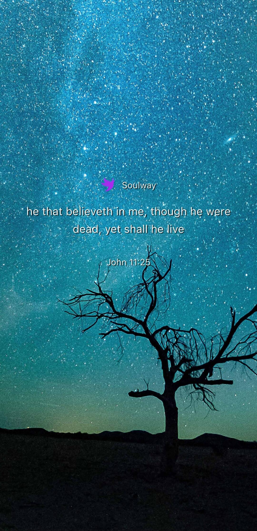 Soulway he that believeth in me, though he were dead, yet shall he live John 11:25