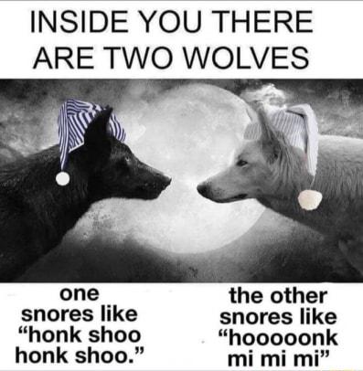 INSIDE YOU THERE ARE TWO WOLVES L one the other snores like snores like honk shoo hooooonk honk shoo mi mi mi