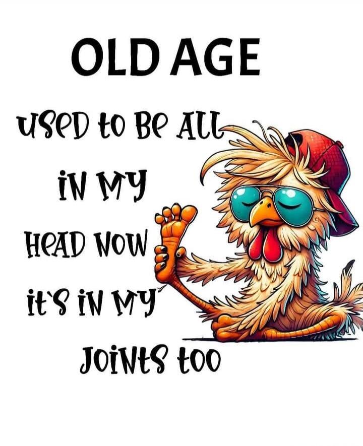 OLD AGE used to be all IN MY HEAD NOW it's in MY JOINTS too