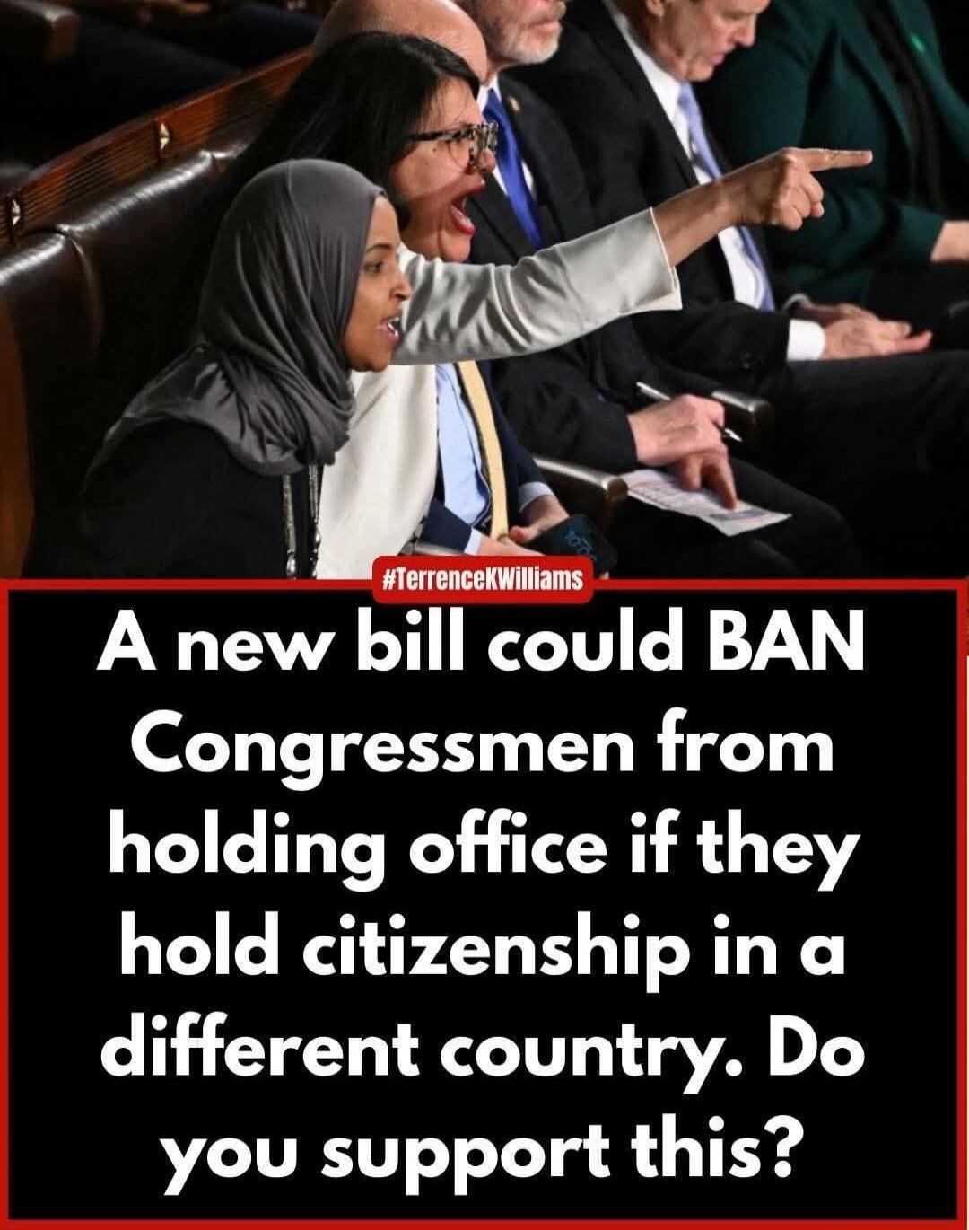 A new bill could BAN Congressmen from holding office if they hold citizenship in a different country. Do you support this?