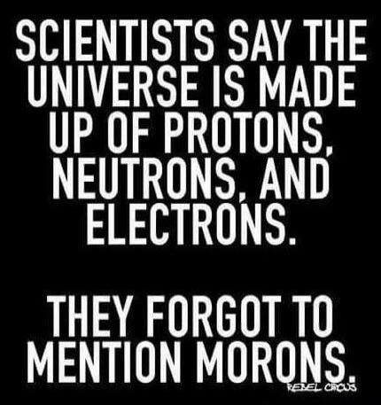 SCIENTISTS SAY THE UNIVERSE IS MADE UP OF PROTONS, NEUTRONS, AND ELECTRONS. THEY FORGOT TO MENTION MORONS.