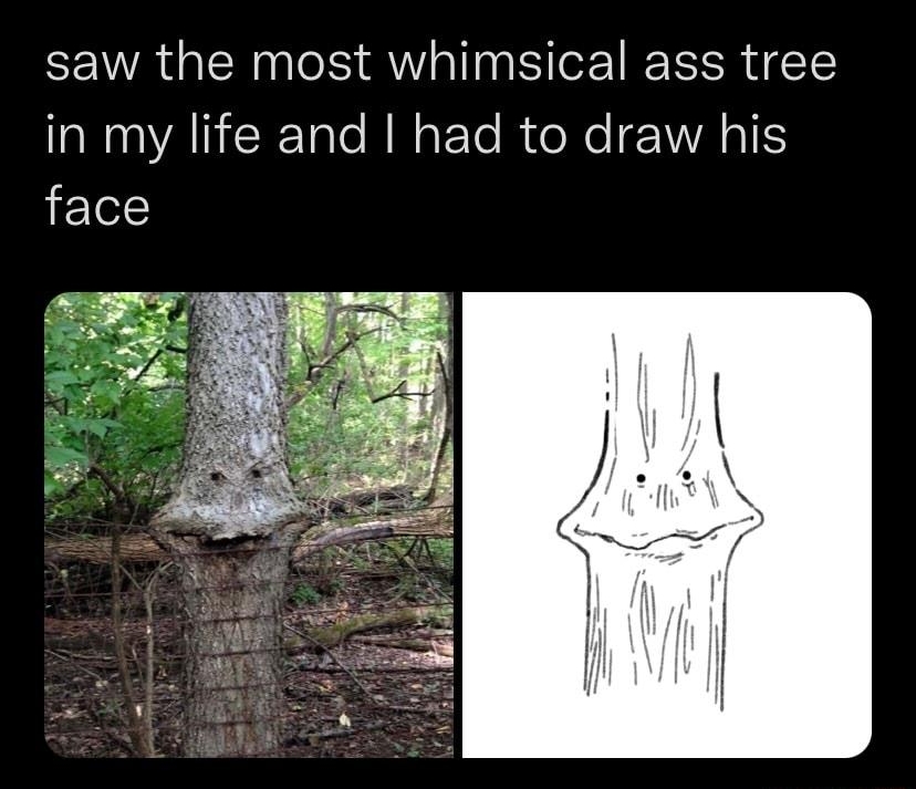saw the most whimsical ass tree N AGEE Tale NN oFTo B dole 2 VRIS face