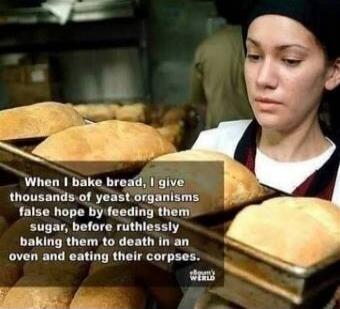 When I bake bread, I give thousands of yeast organisms false hope by feeding them sugar, before ruthlessly baking them to death in an oven and eating their corpses.
