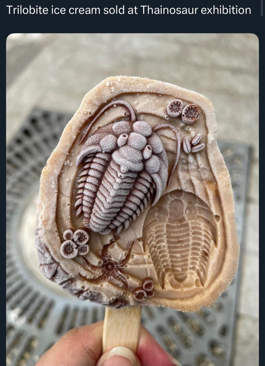 Trilobite ice cream sold at Thainosaur exhibition