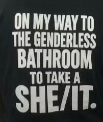 ON MY WAY TO THE GENDERLESS BATHROOM TO TAKE A SHE/IT.