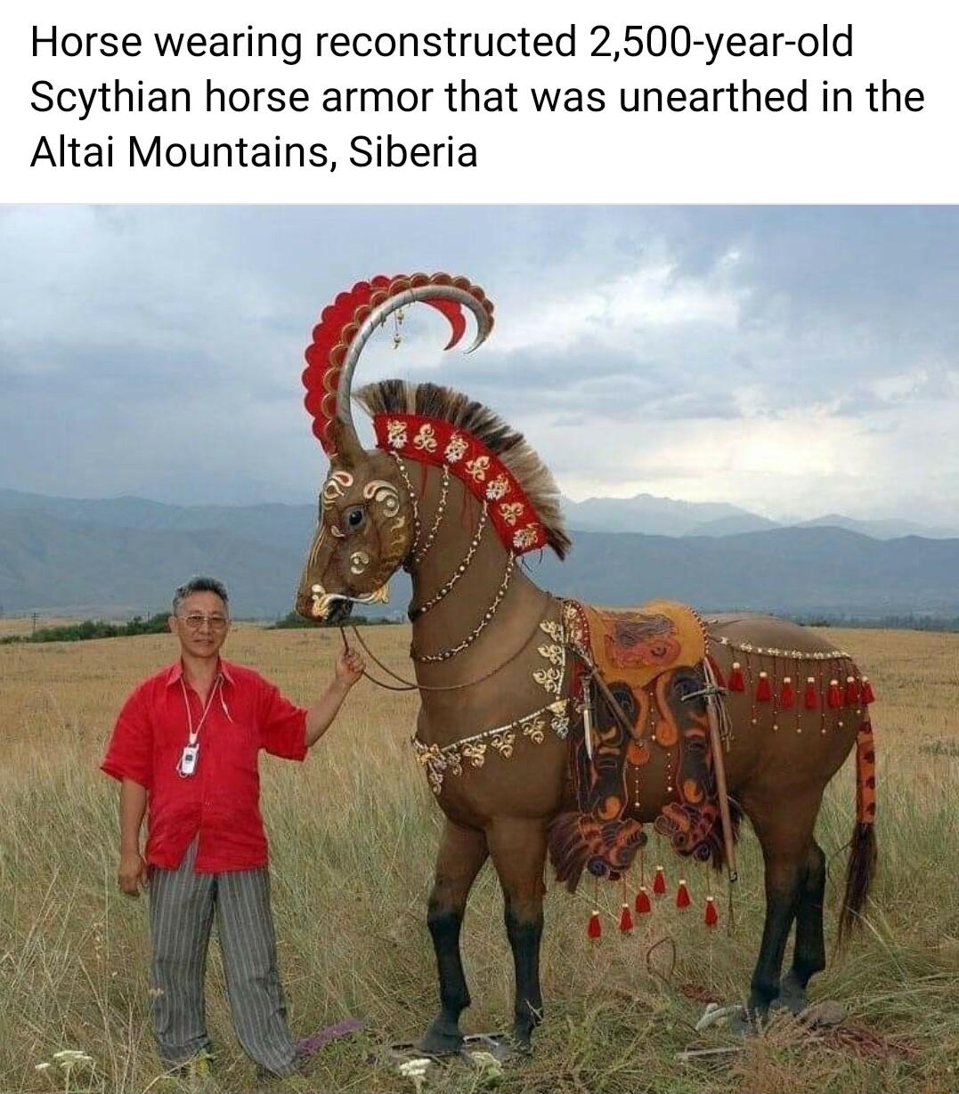Horse wearing reconstructed 2500 year old Scythian horse armor that was unearthed in the Altai Mountains Siberia