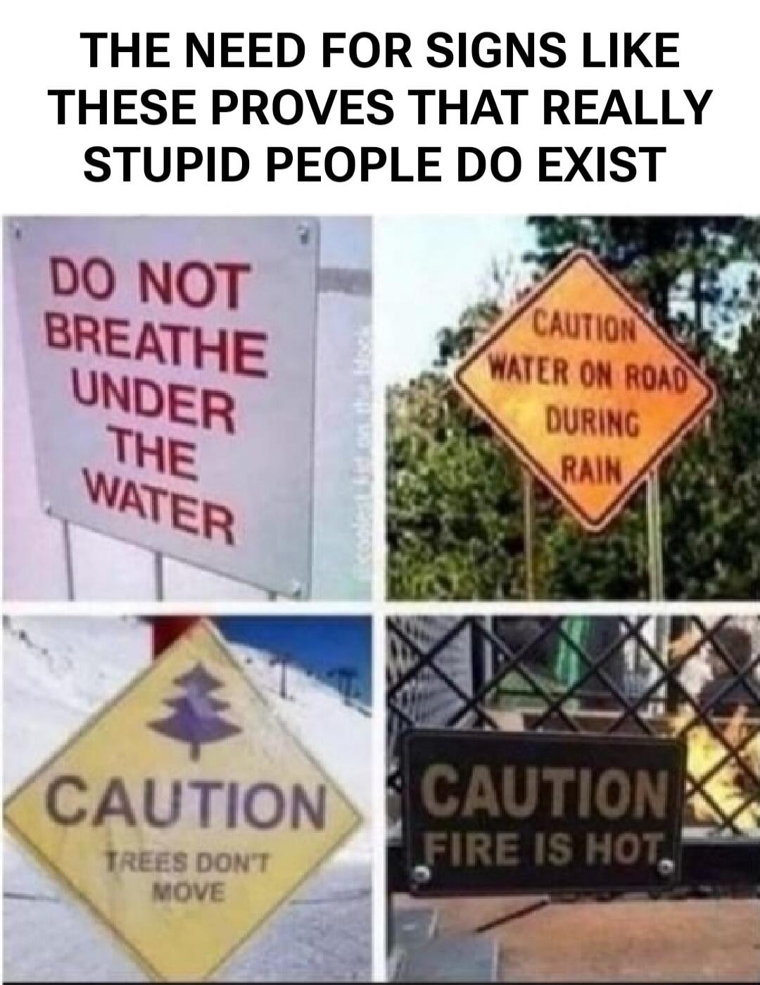 DO NOT BREATHE UNDER THE WATER
CAUTION WATER ON ROAD DURING RAIN
CAUTION TREES DONT MOVE
CAUTION FIRE IS HOT