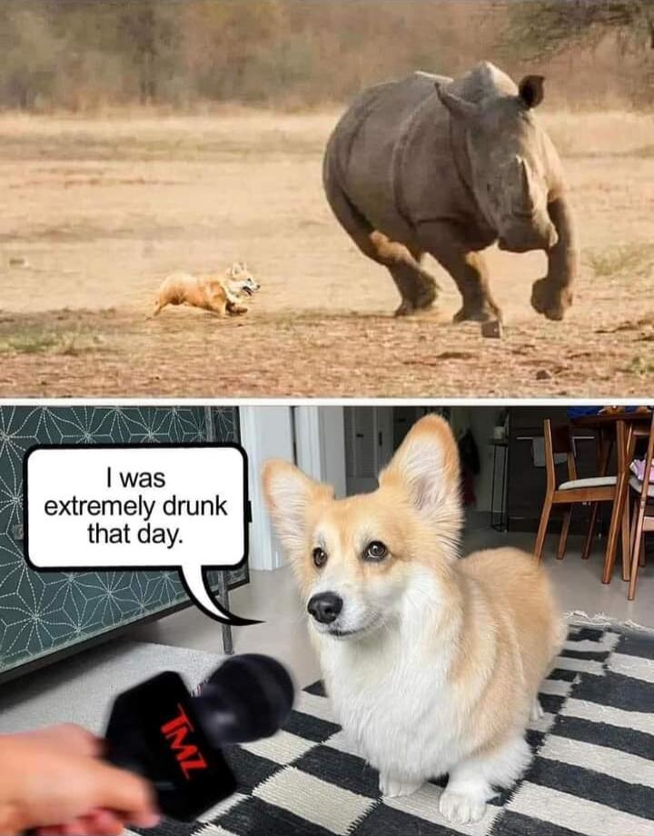 was il extremely drunk that day