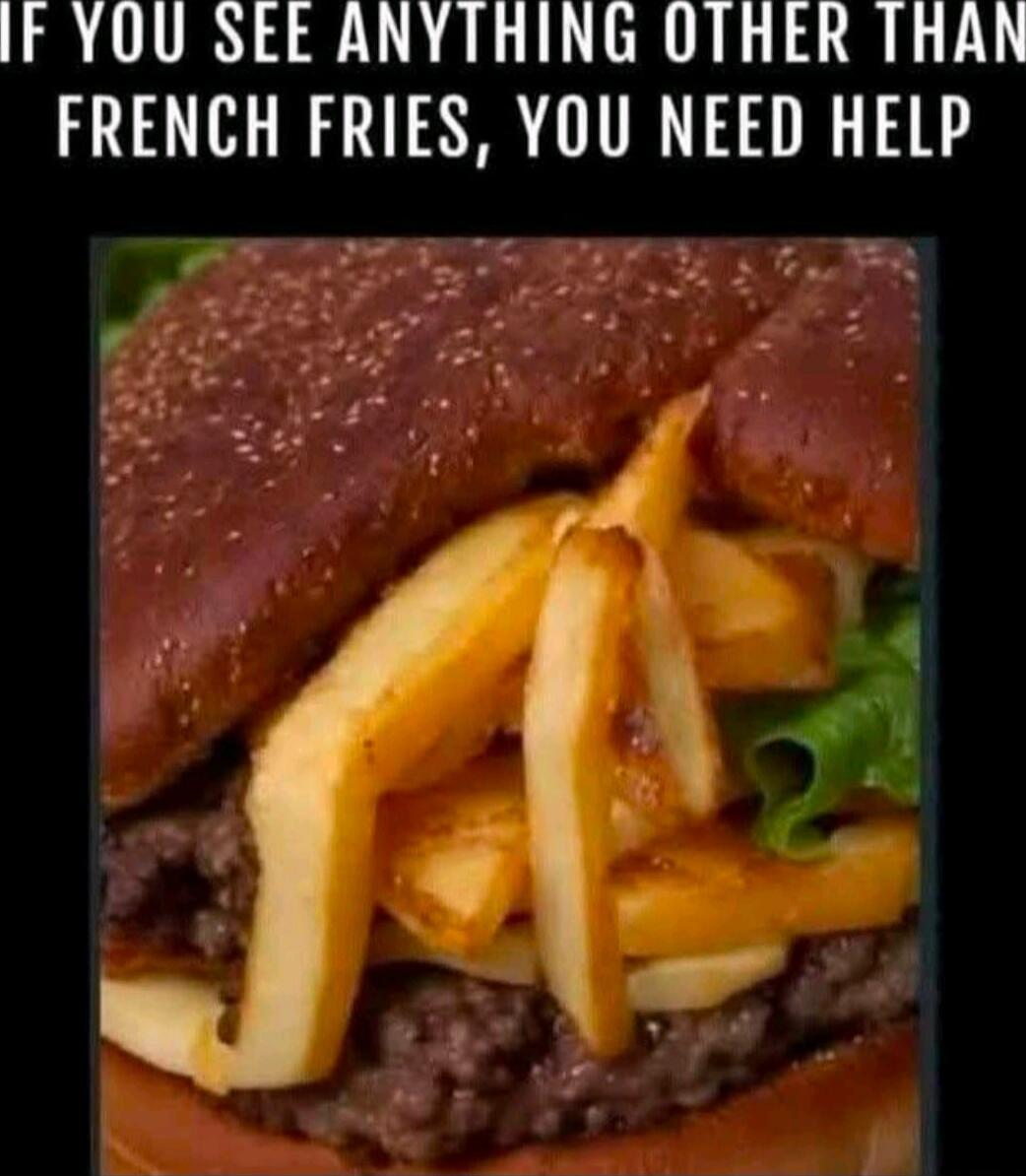 IF YOU SEE ANYTHING OTHER THAN FRENCH FRIES, YOU NEED HELP