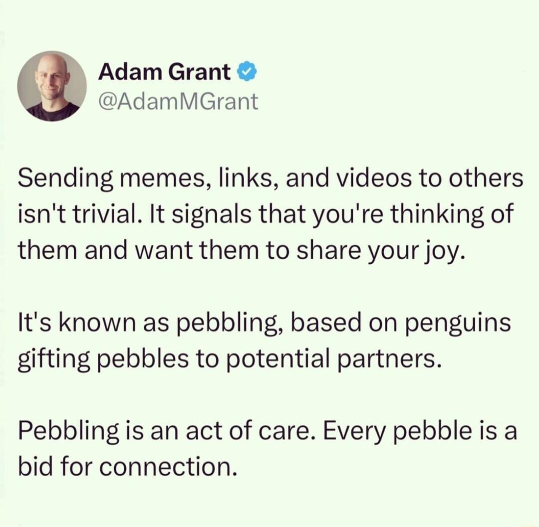 Adam Grant AdamMGrant Sending memes links and videos to others isnt trivial It signals that youre thinking of them and want them to share your joy Its known as pebbling based on penguins gifting pebbles to potential partners Pebbling is an act of care Every pebble is a bid for connection