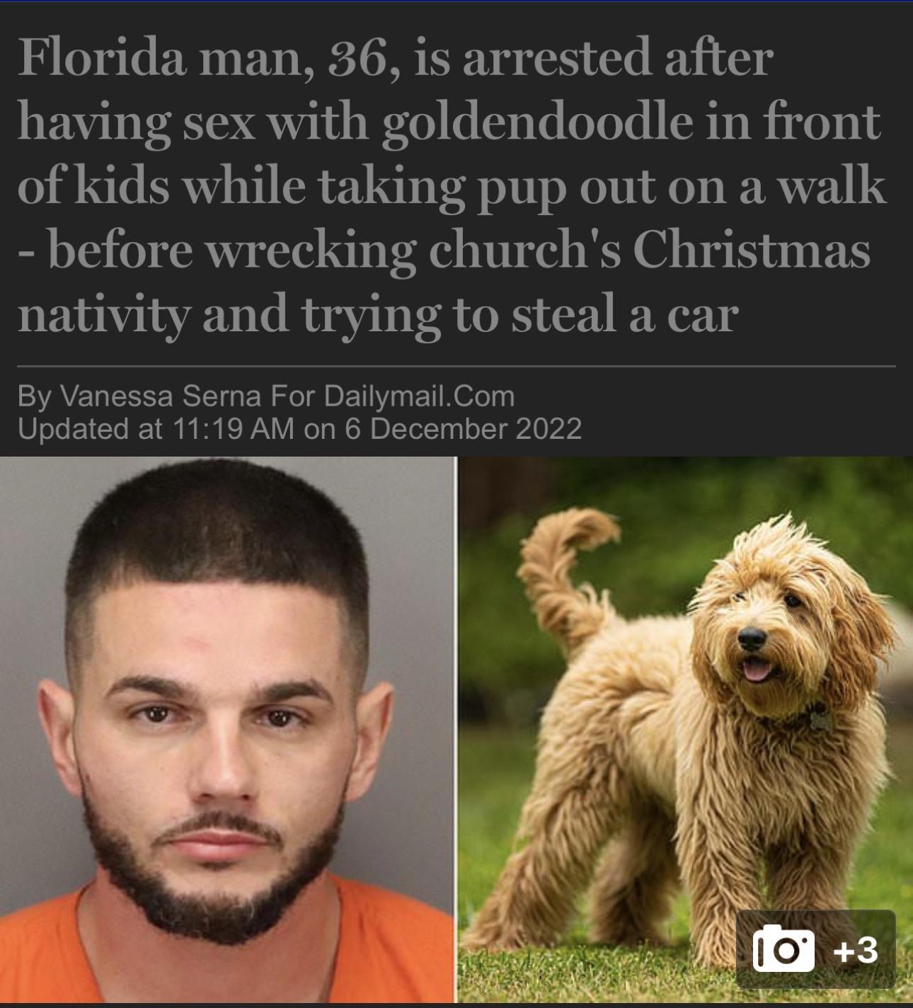 Florida man 36 is arrested after having sex with goldendoodle in front of kids while taking pup out on a walk before wrecking churchs Christmas nativity and trying to steal a car By Vanessa Sera For DailymailCom Updated at 1119 AM on 6 December 2022