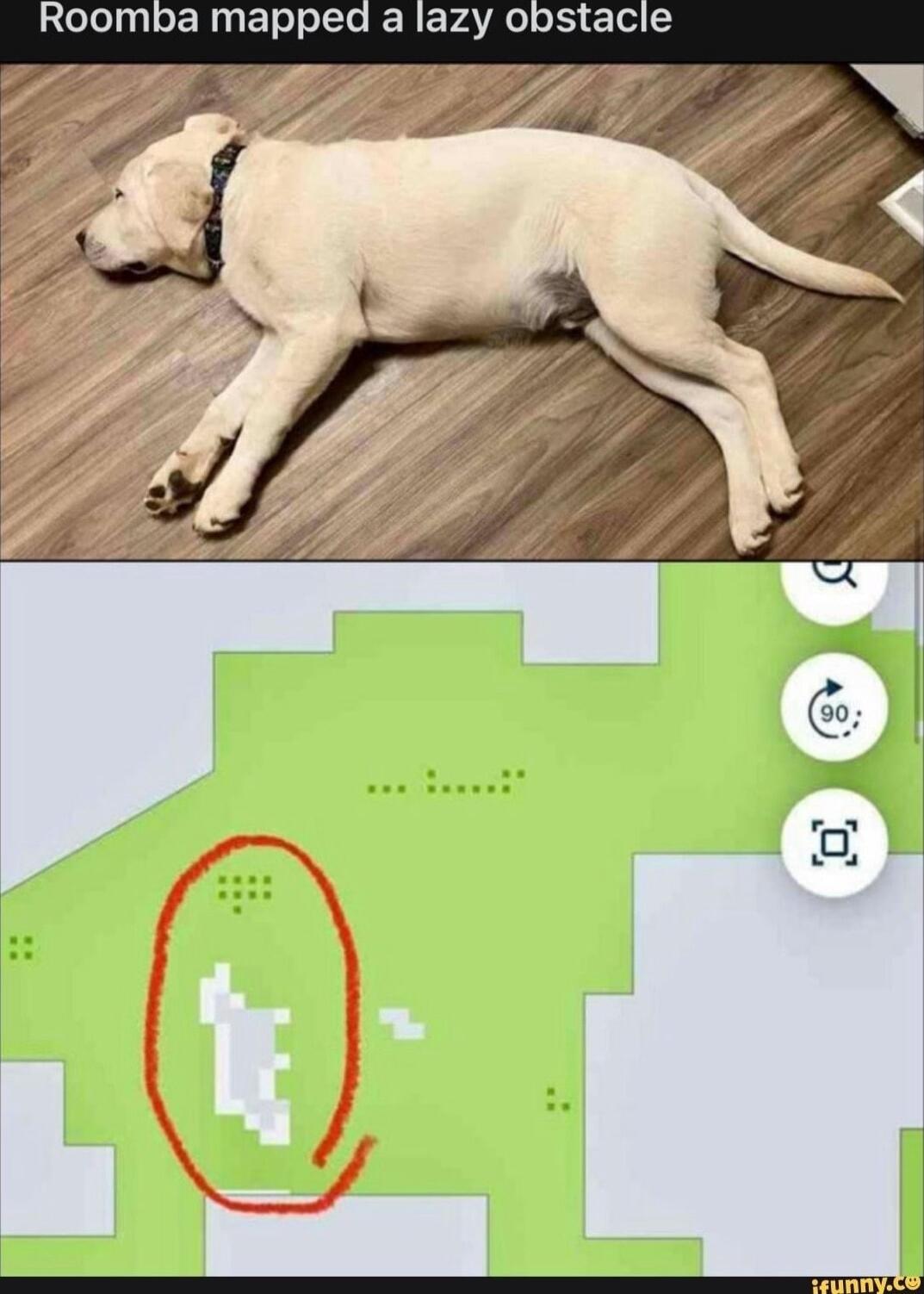 Roomba mapped a