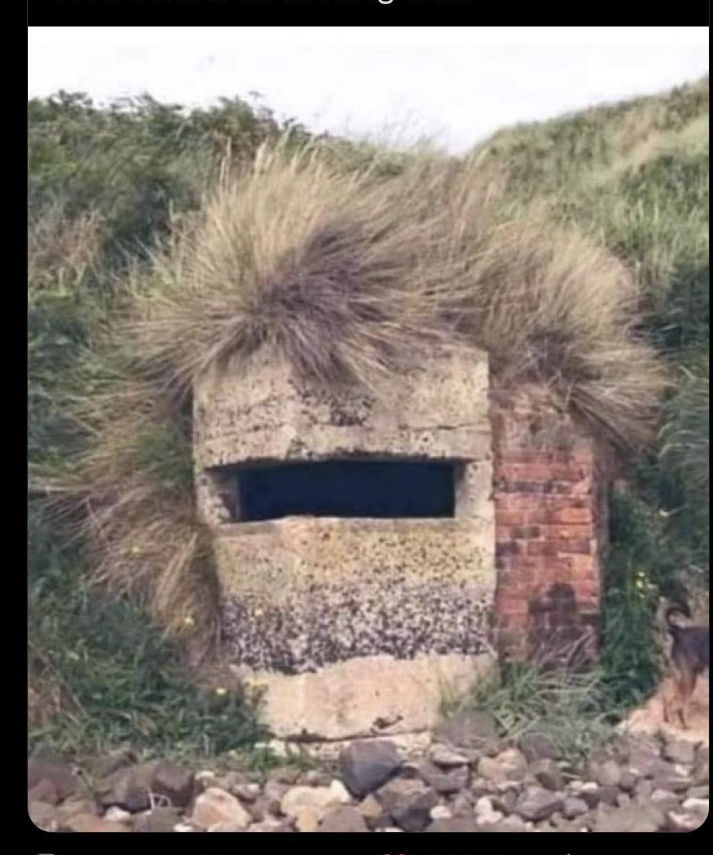 Sir Rod Stewart rodstewart 1h Fuck sake No Context Brits NoCo 82422 Rod Stewart is looking well