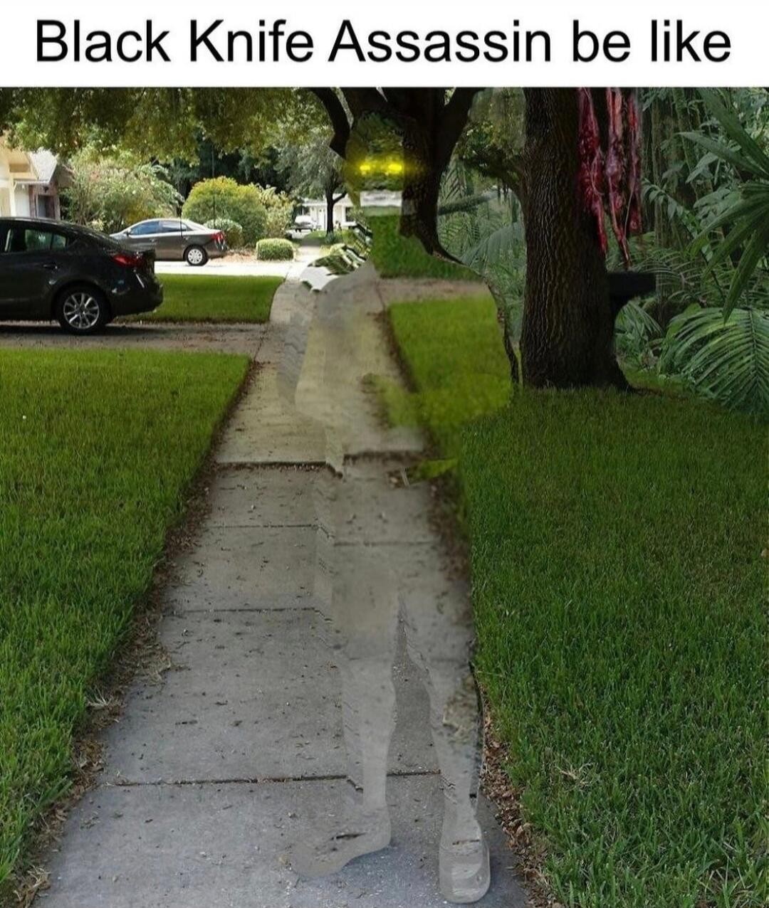 Black Knife Assassin be like