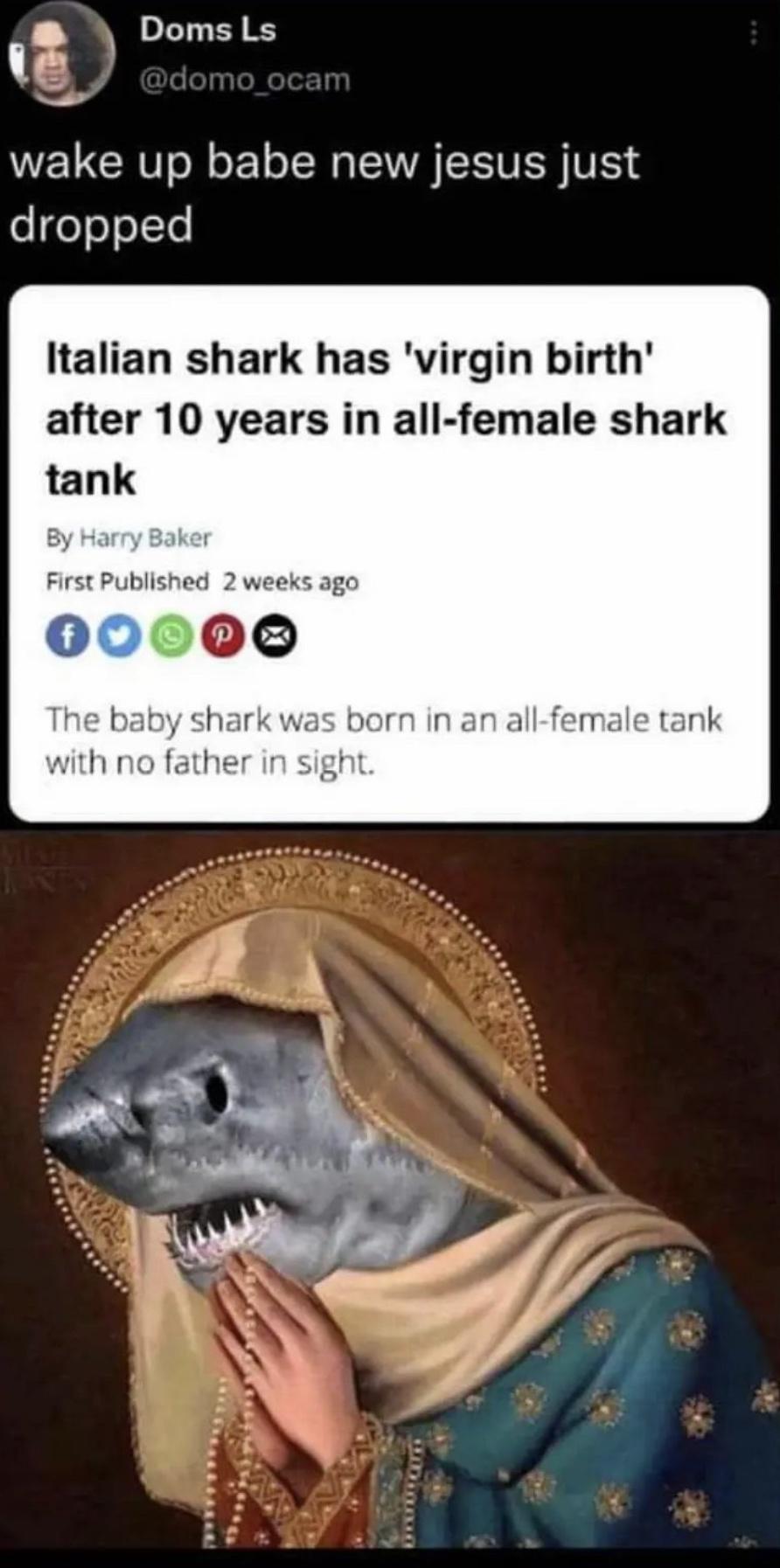 WEUCRT ol o1 SR ATV V o eJoolTe Italian shark has virgin birth after 10 years in all female shark tank By Harry Bal y Harry 1 First Published 2 weeks ago 000
