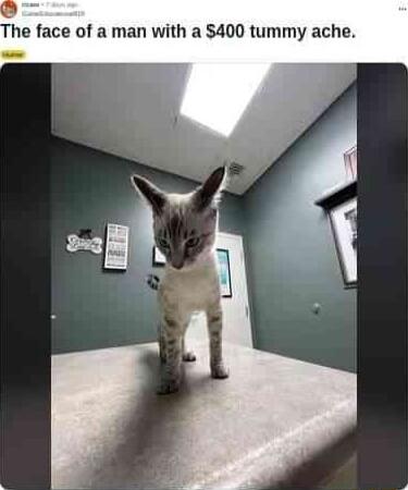 he face of a man with a 400 tummy ache