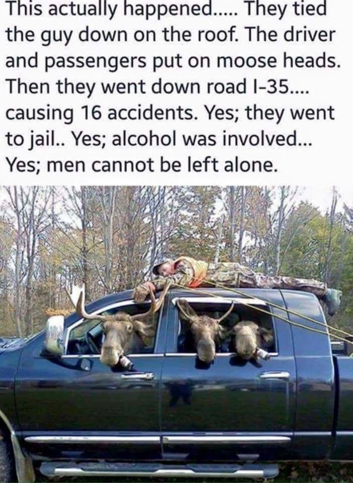 This actually happened They tied the guy down on the roof The driver and passengers put on moose heads Then they went down road I 35 causing 16 accidents Yes they went to jail Yes alcohol was involved Yes men cannot be left alone